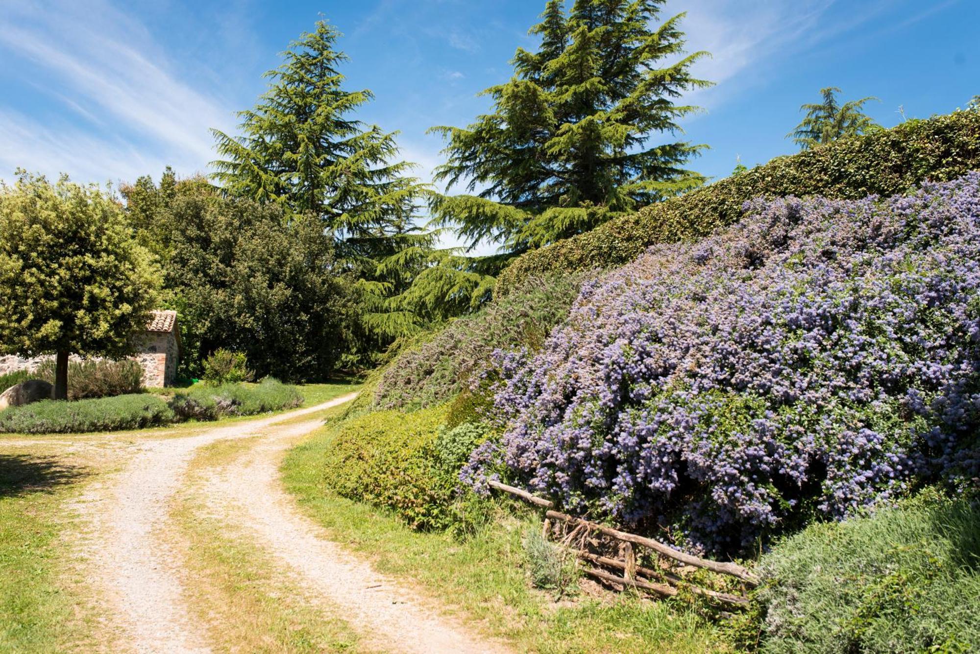 Agri Relais Il Poderaccio Di Bolsena Dış mekan fotoğraf