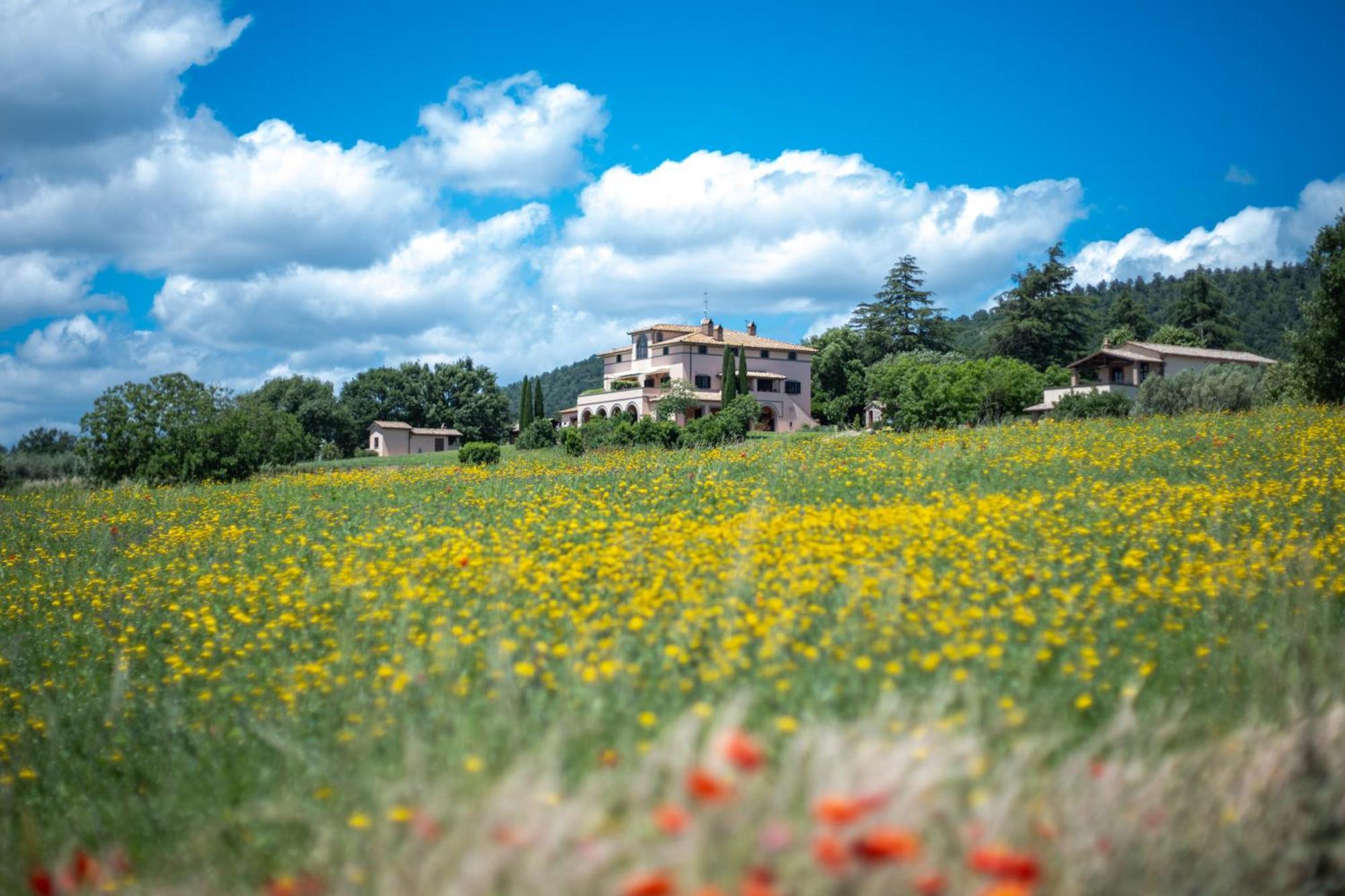 Agri Relais Il Poderaccio Di Bolsena Dış mekan fotoğraf
