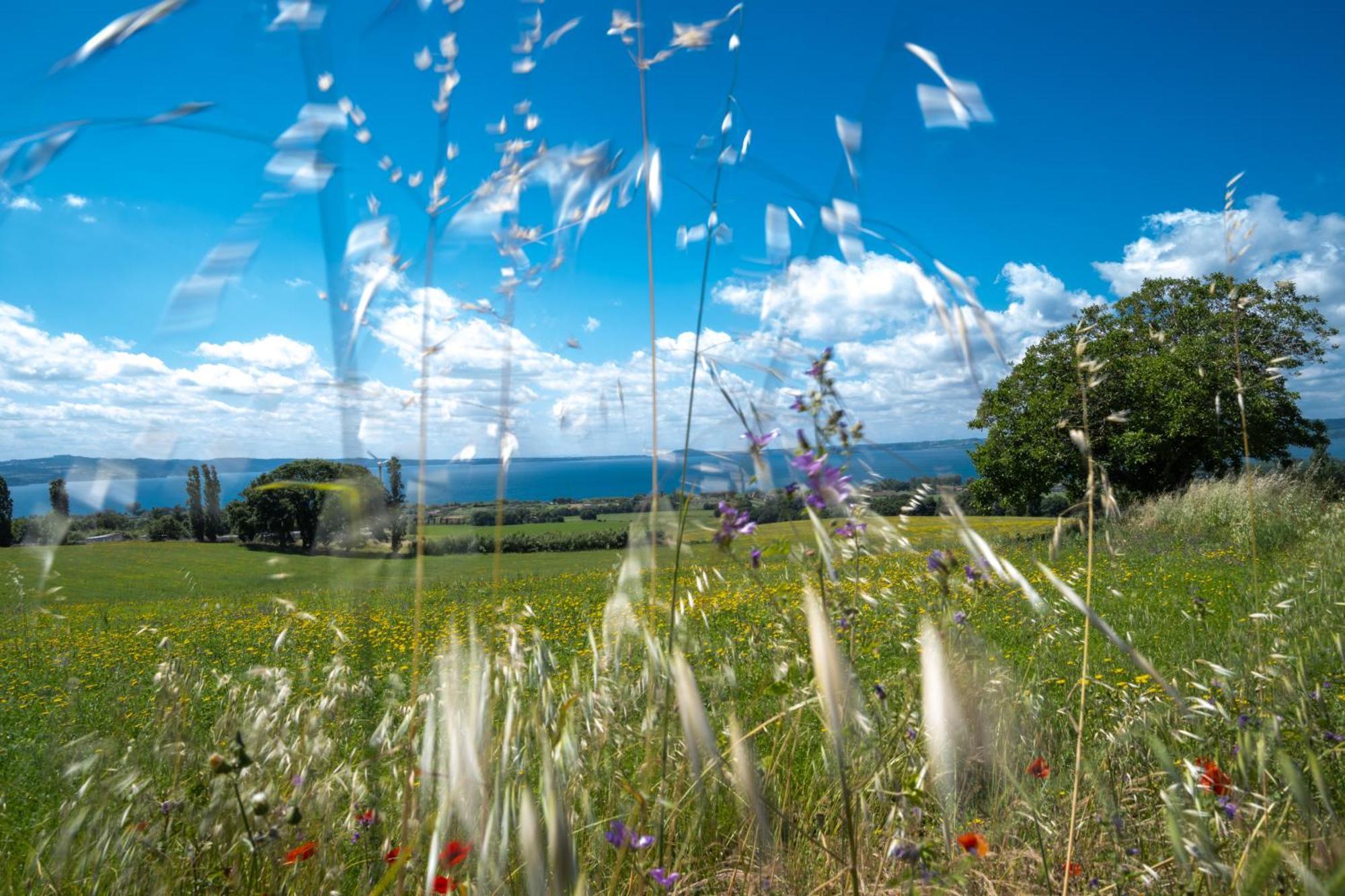 Agri Relais Il Poderaccio Di Bolsena Dış mekan fotoğraf