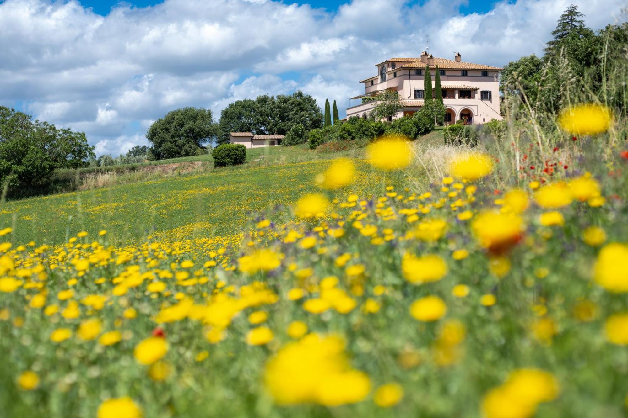 Agri Relais Il Poderaccio Di Bolsena Dış mekan fotoğraf
