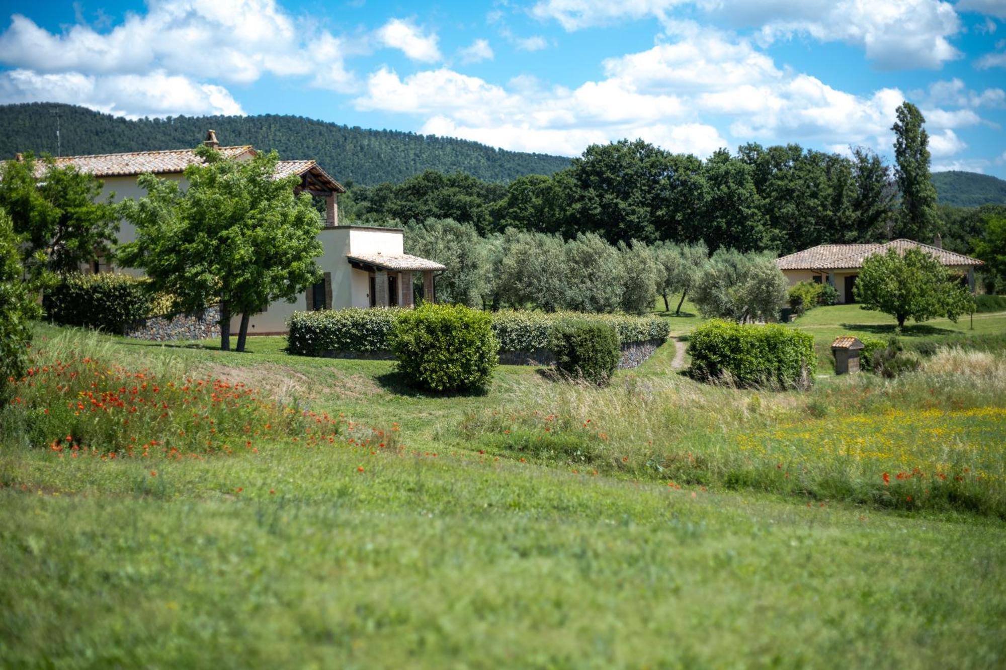 Agri Relais Il Poderaccio Di Bolsena Dış mekan fotoğraf