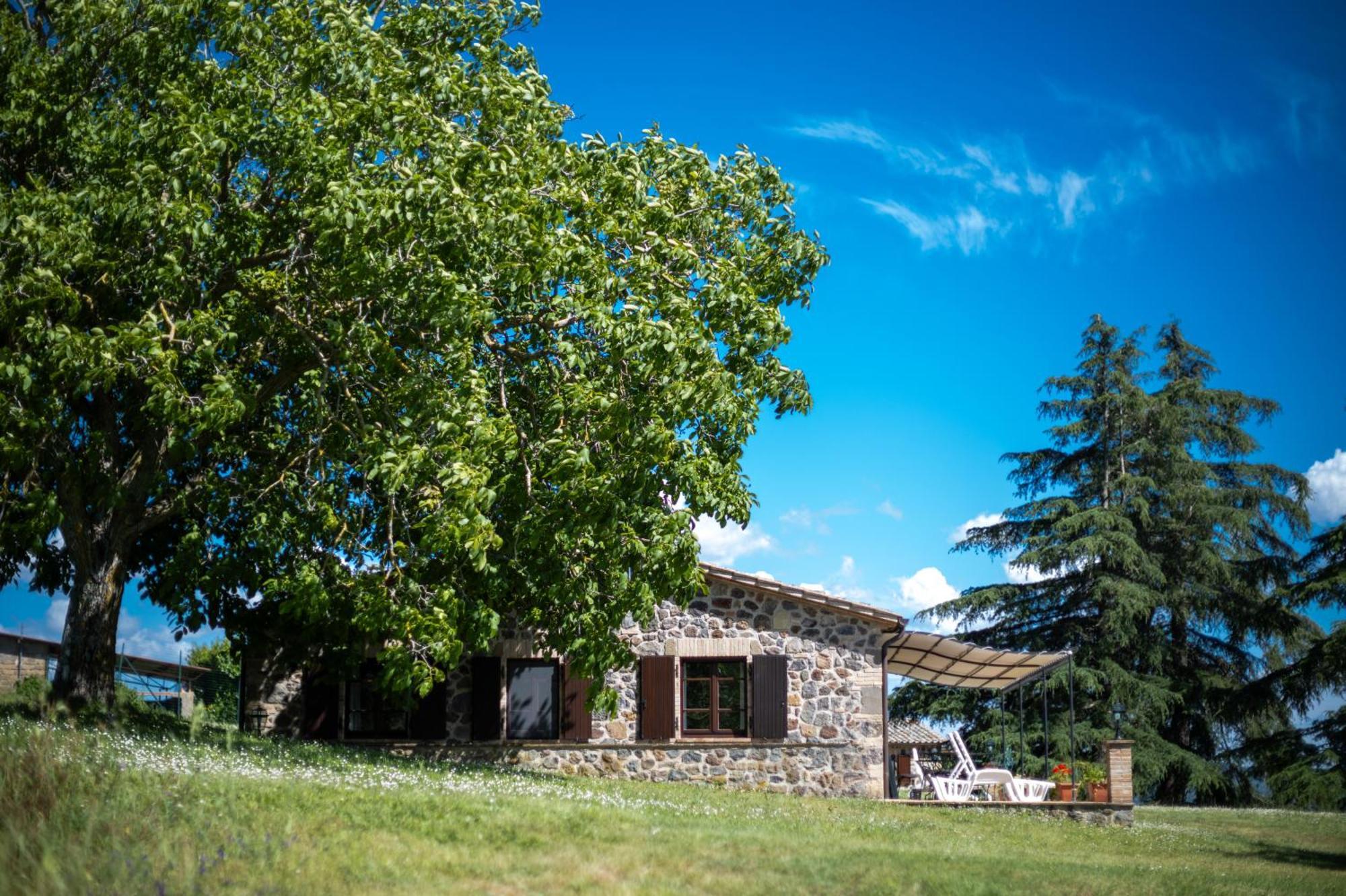 Agri Relais Il Poderaccio Di Bolsena Dış mekan fotoğraf